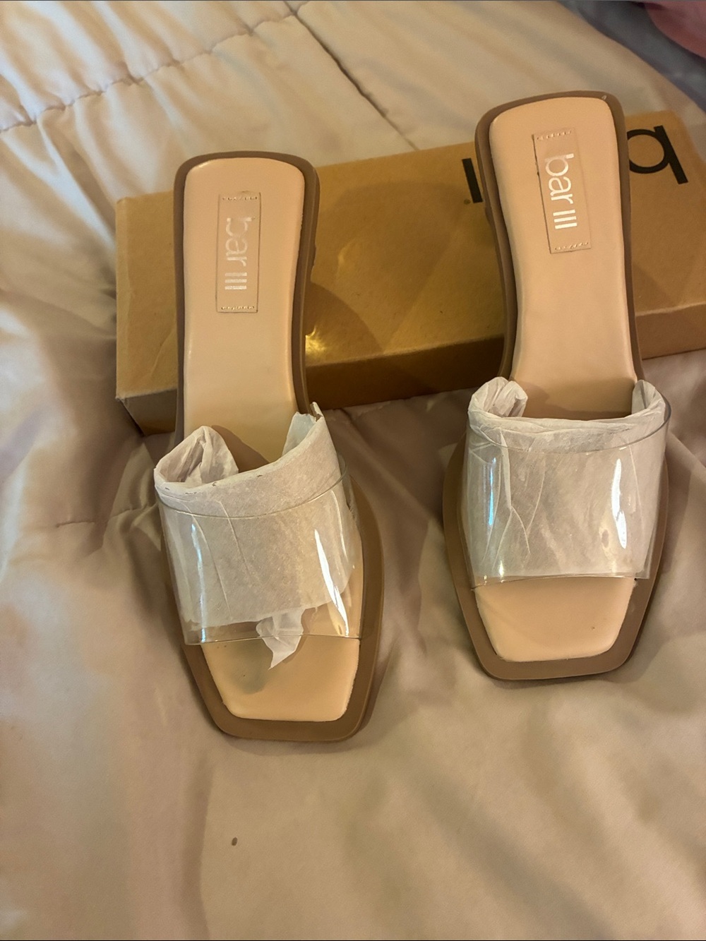 Bar III Clear Band Slide Mules in Nude and Tan